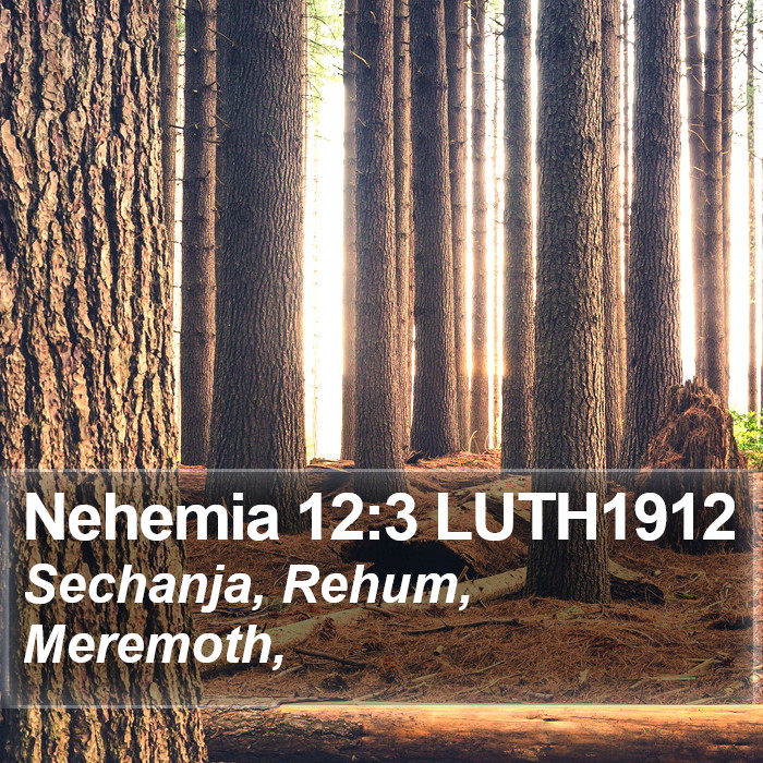 Nehemia 12:3 LUTH1912 Bible Study