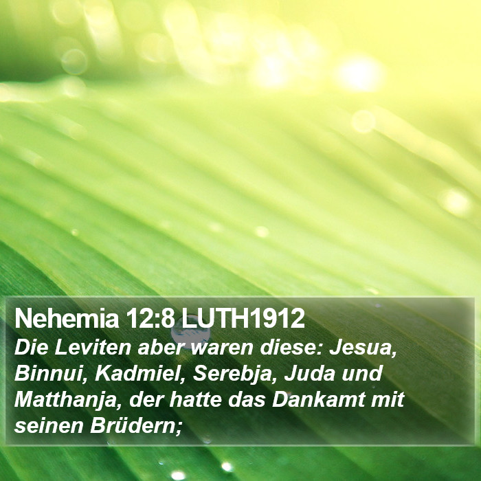 Nehemia 12:8 LUTH1912 Bible Study