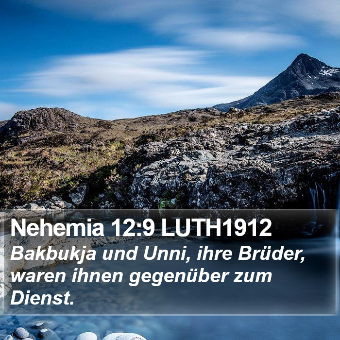 Nehemia 12:9 LUTH1912 Bible Study