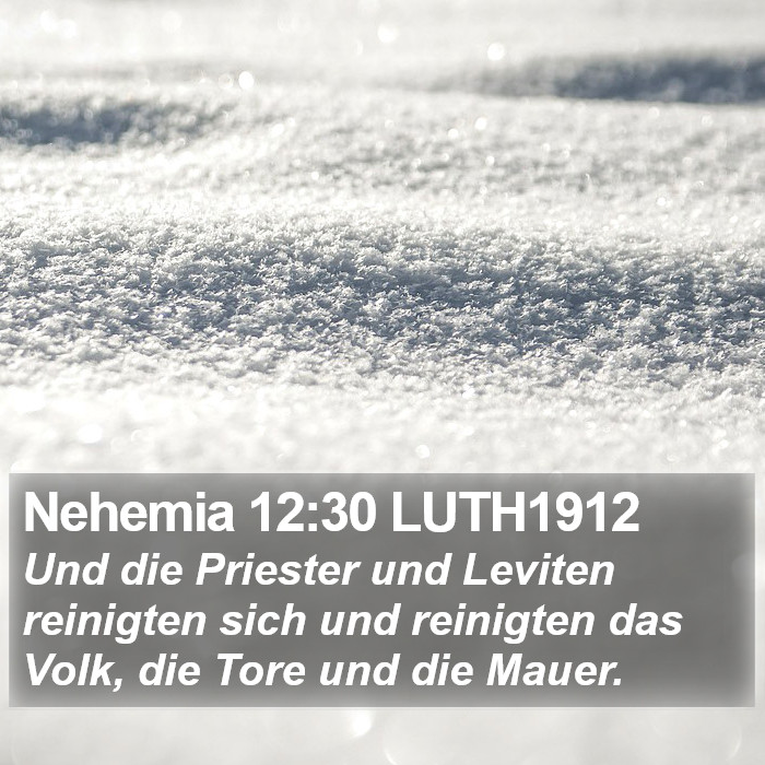 Nehemia 12:30 LUTH1912 Bible Study