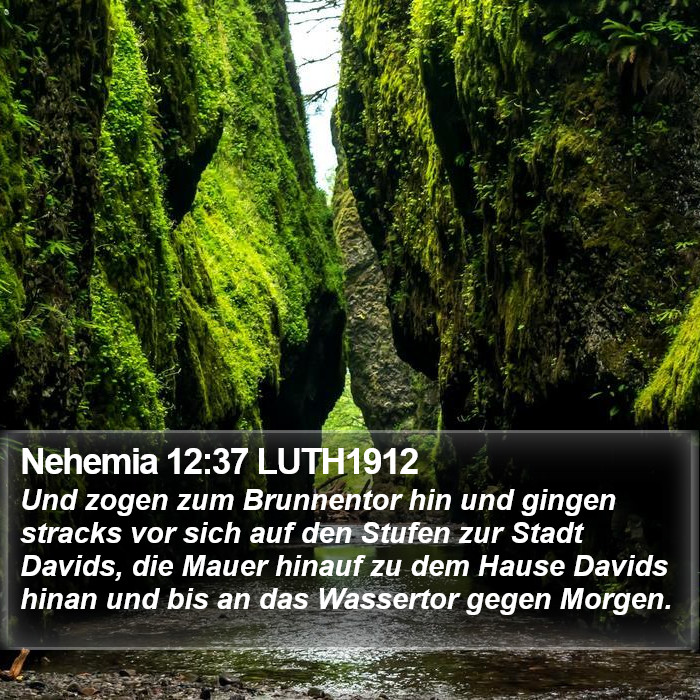 Nehemia 12:37 LUTH1912 Bible Study