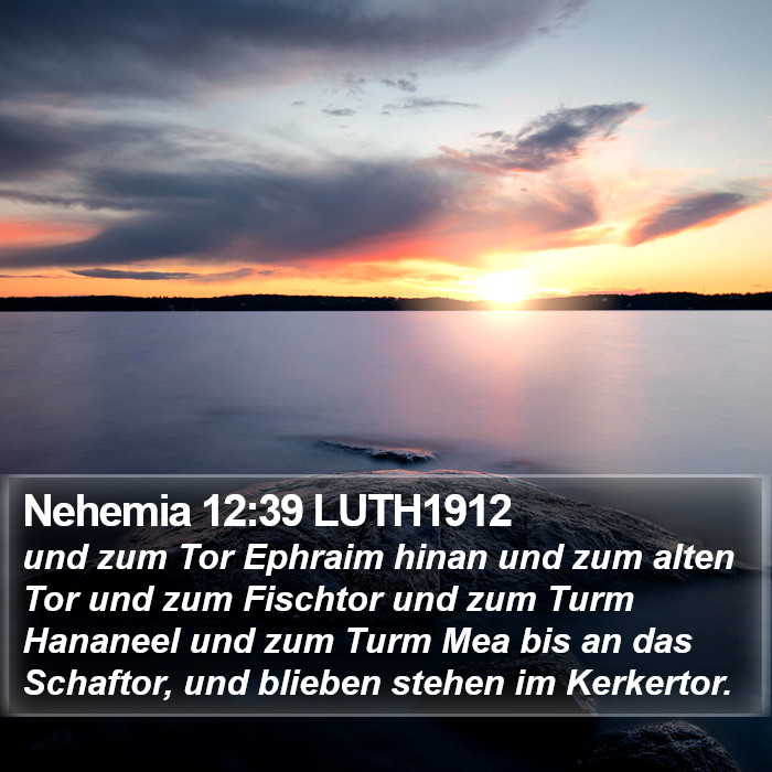 Nehemia 12:39 LUTH1912 Bible Study