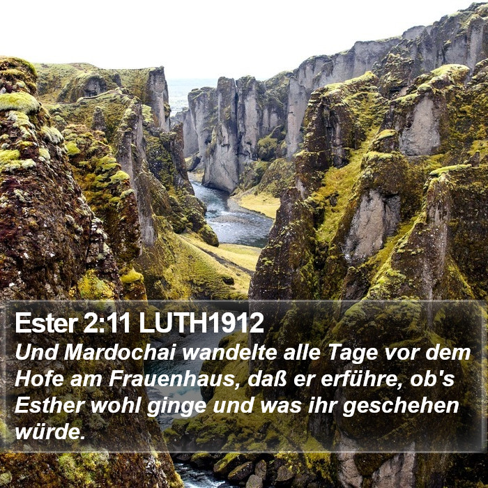 Ester 2:11 LUTH1912 Bible Study