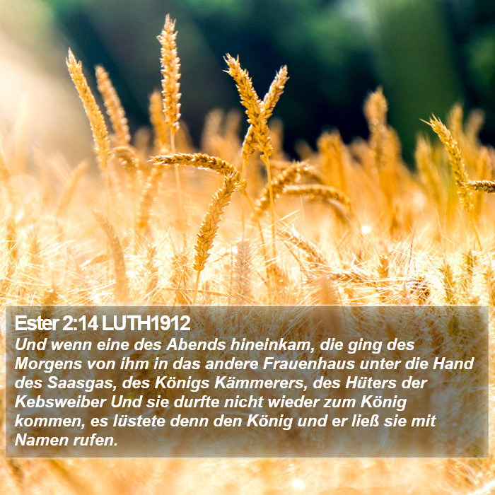 Ester 2:14 LUTH1912 Bible Study