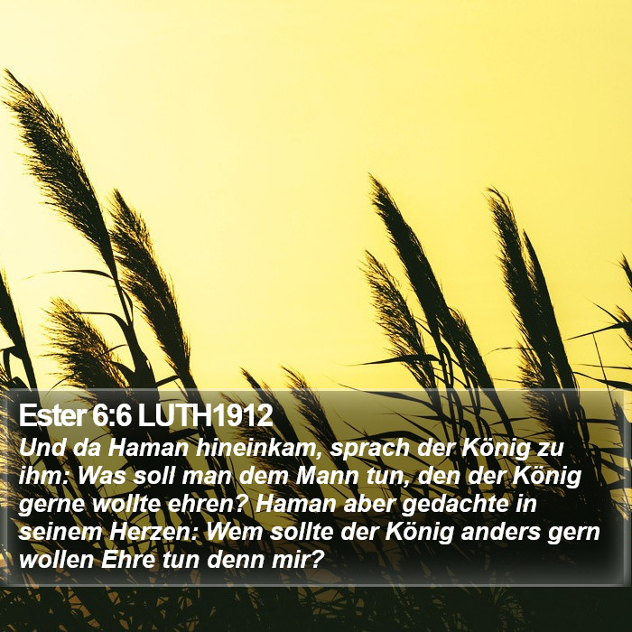 Ester 6:6 LUTH1912 Bible Study