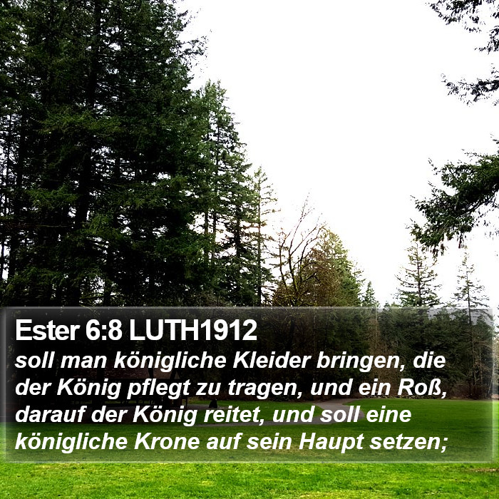 Ester 6:8 LUTH1912 Bible Study