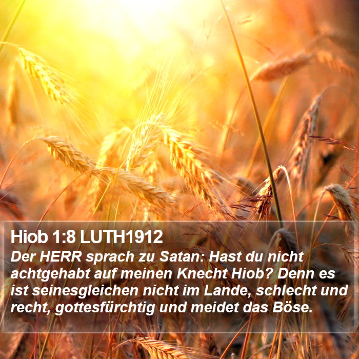 Hiob 1:8 LUTH1912 Bible Study