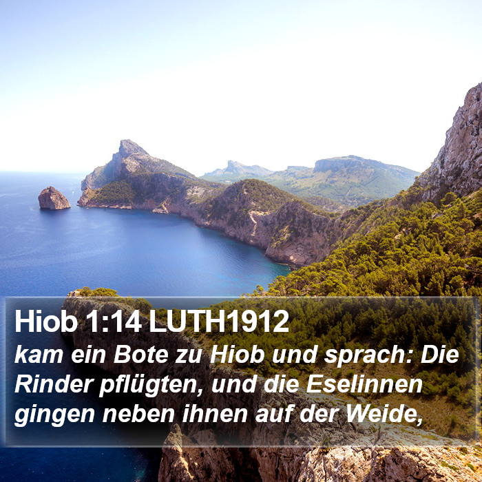 Hiob 1:14 LUTH1912 Bible Study