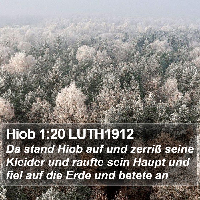 Hiob 1:20 LUTH1912 Bible Study