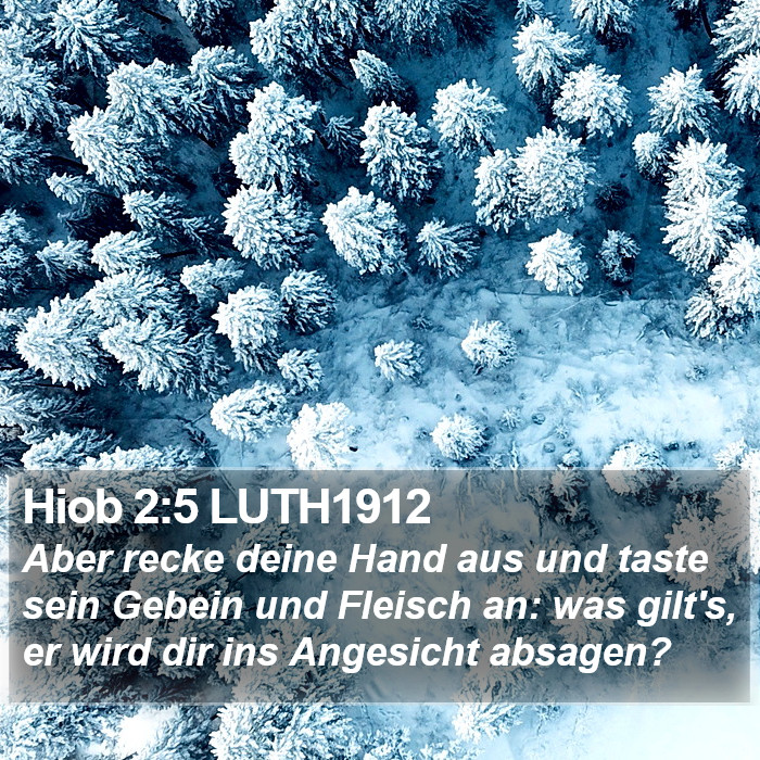 Hiob 2:5 LUTH1912 Bible Study