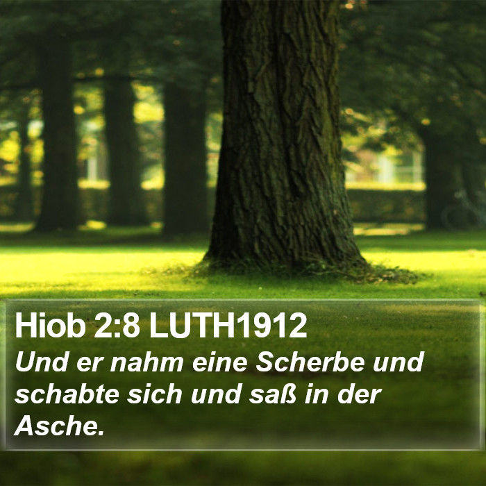 Hiob 2:8 LUTH1912 Bible Study