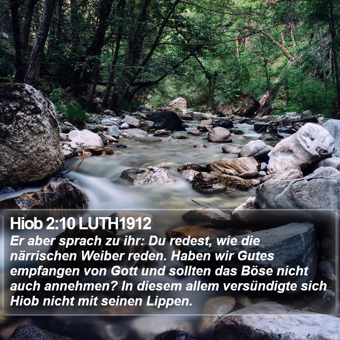 Hiob 2:10 LUTH1912 Bible Study