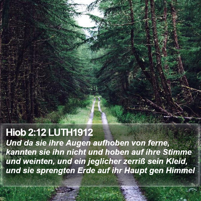 Hiob 2:12 LUTH1912 Bible Study