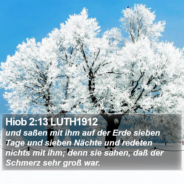 Hiob 2:13 LUTH1912 Bible Study