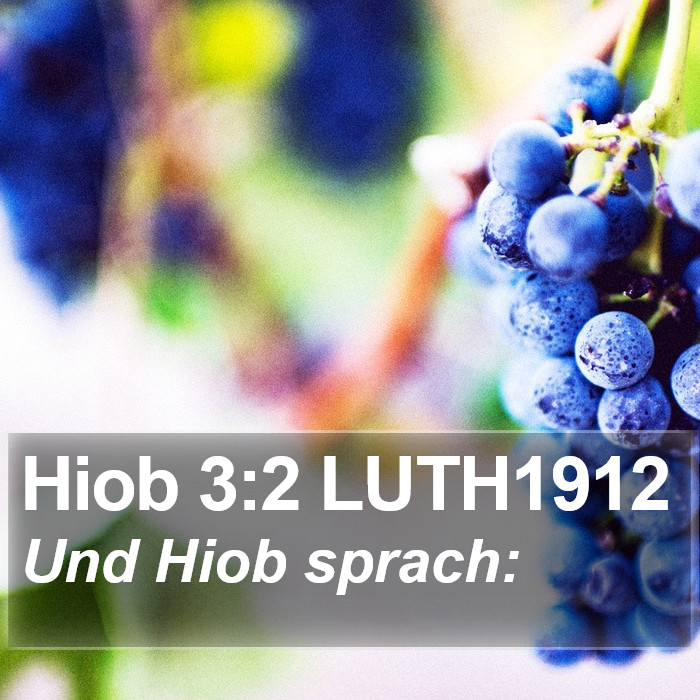 Hiob 3:2 LUTH1912 Bible Study
