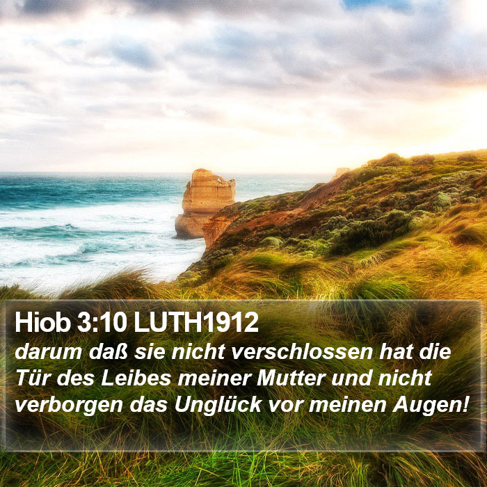 Hiob 3:10 LUTH1912 Bible Study