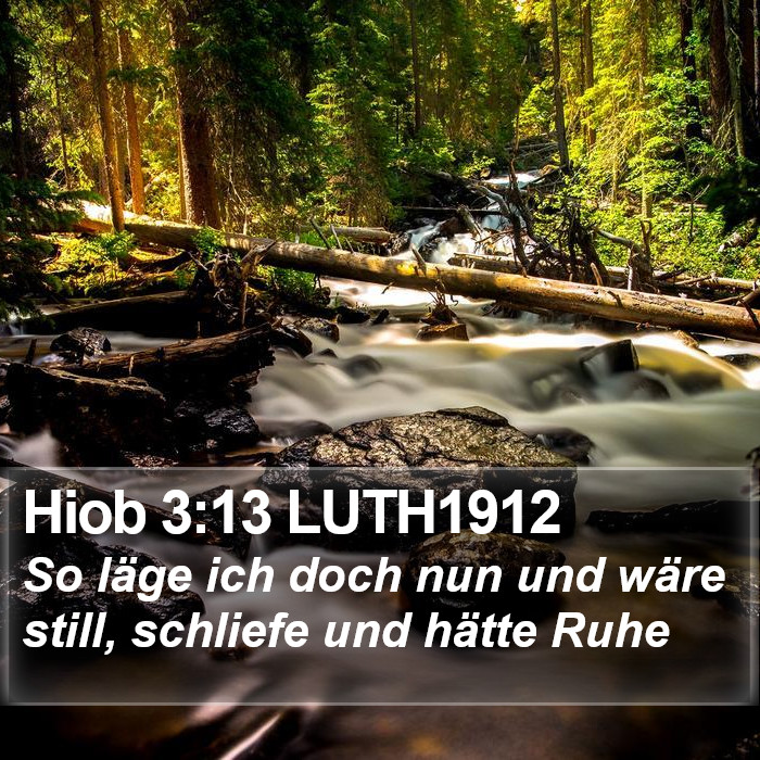 Hiob 3:13 LUTH1912 Bible Study