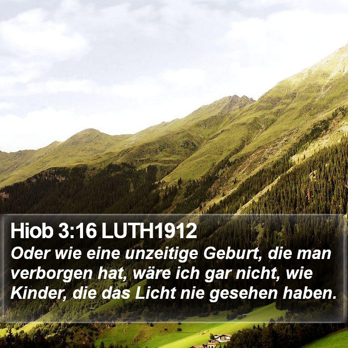 Hiob 3:16 LUTH1912 Bible Study