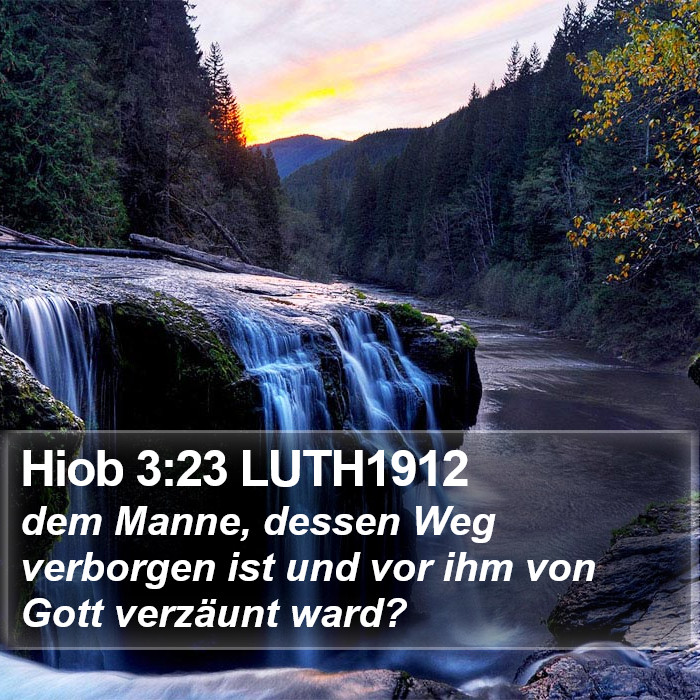 Hiob 3:23 LUTH1912 Bible Study