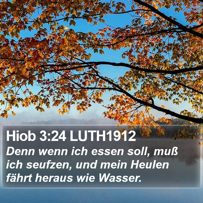 Hiob 3:24 LUTH1912 Bible Study