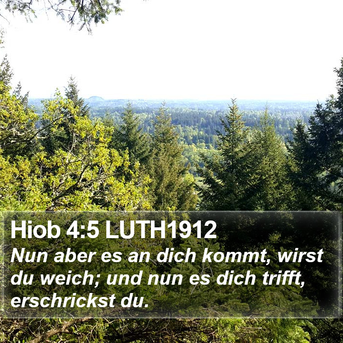 Hiob 4:5 LUTH1912 Bible Study