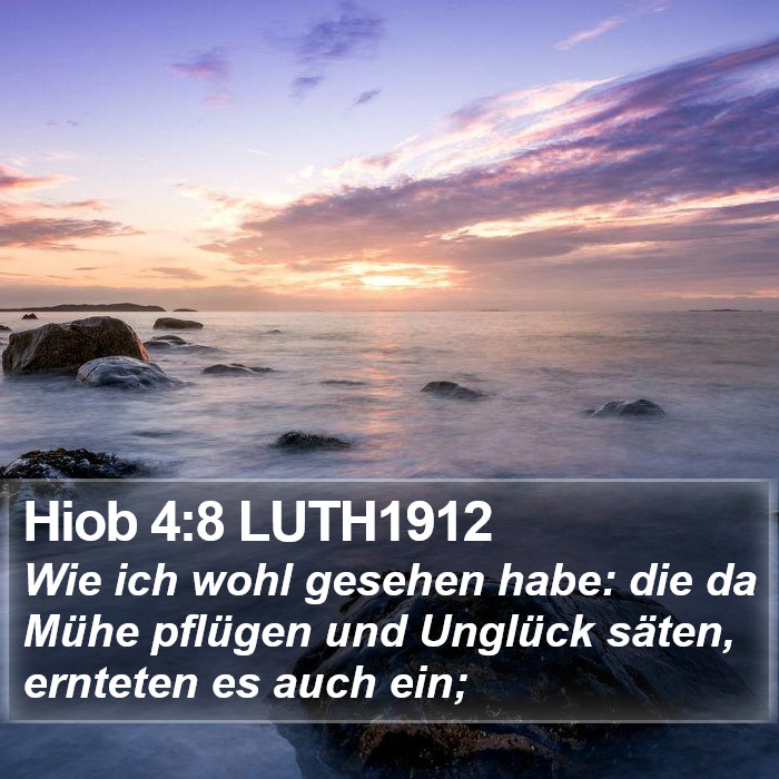 Hiob 4:8 LUTH1912 Bible Study