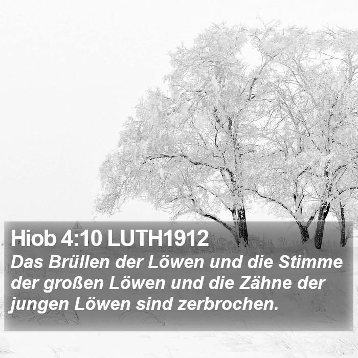 Hiob 4:10 LUTH1912 Bible Study