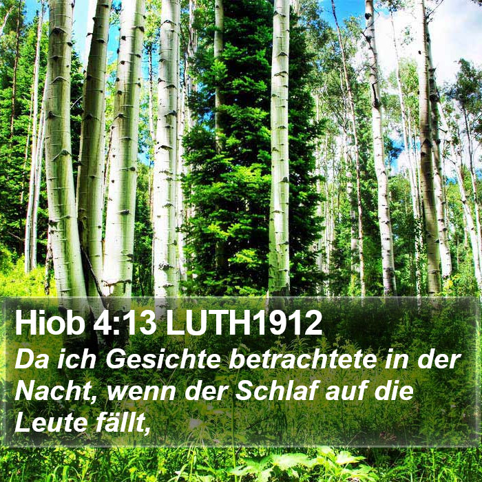 Hiob 4:13 LUTH1912 Bible Study