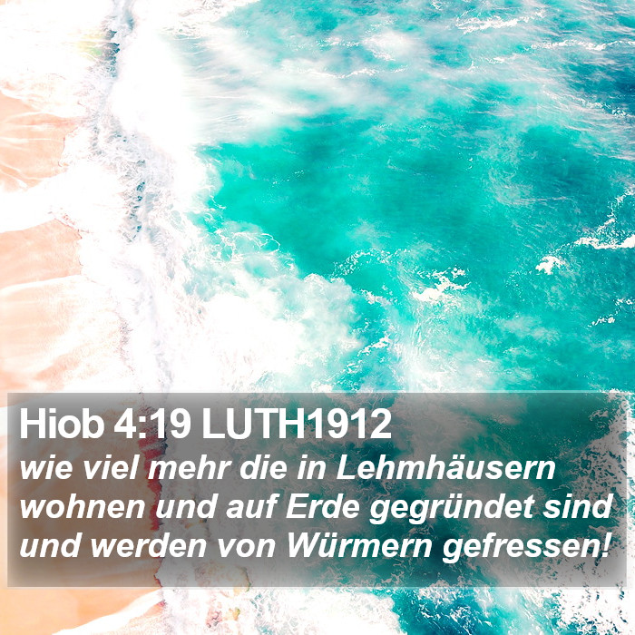 Hiob 4:19 LUTH1912 Bible Study