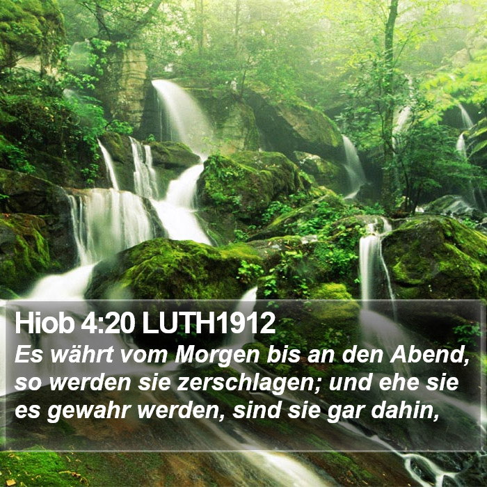 Hiob 4:20 LUTH1912 Bible Study