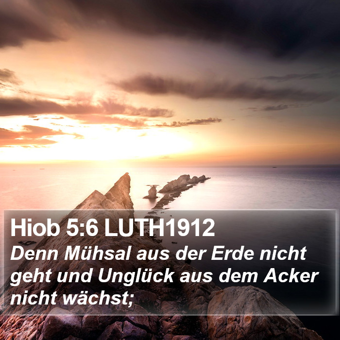 Hiob 5:6 LUTH1912 Bible Study