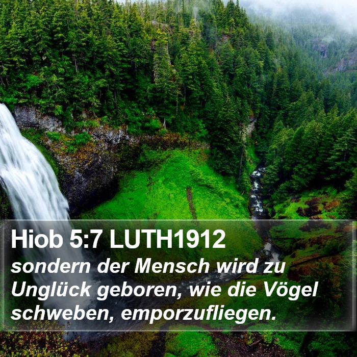 Hiob 5:7 LUTH1912 Bible Study