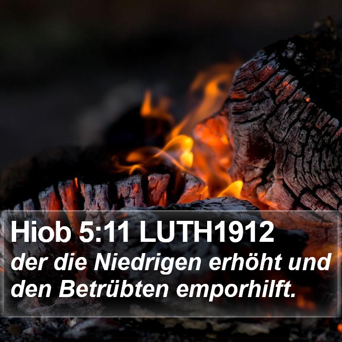Hiob 5:11 LUTH1912 Bible Study