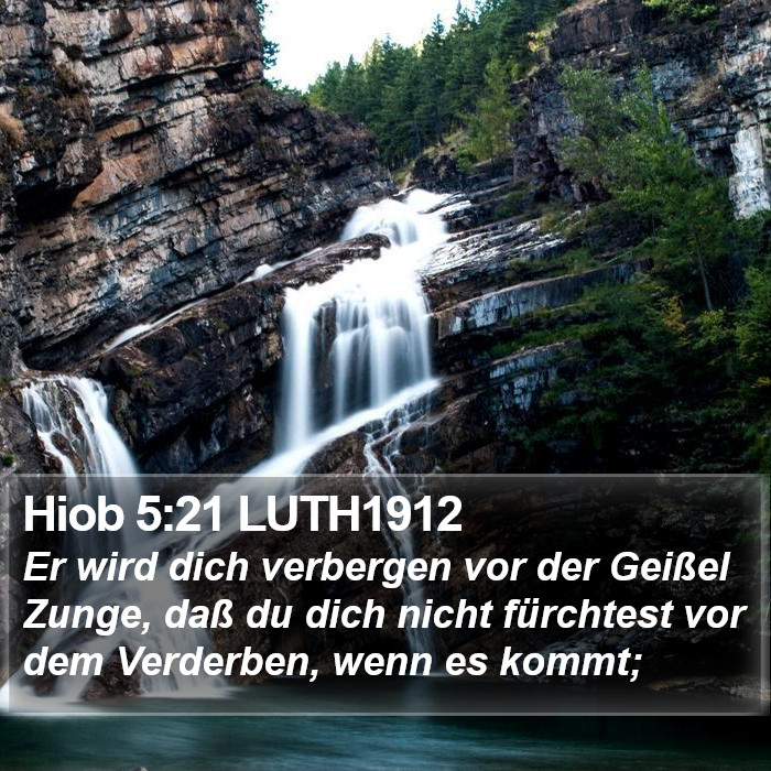 Hiob 5:21 LUTH1912 Bible Study
