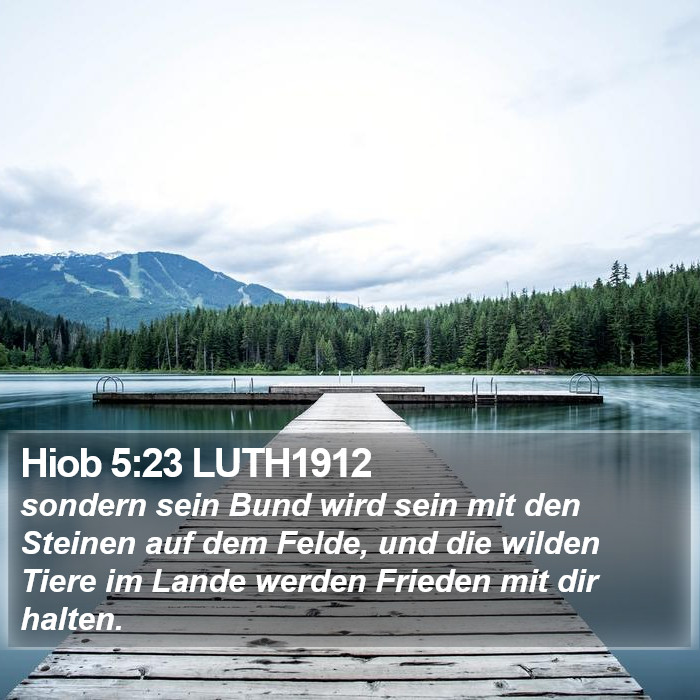 Hiob 5:23 LUTH1912 Bible Study