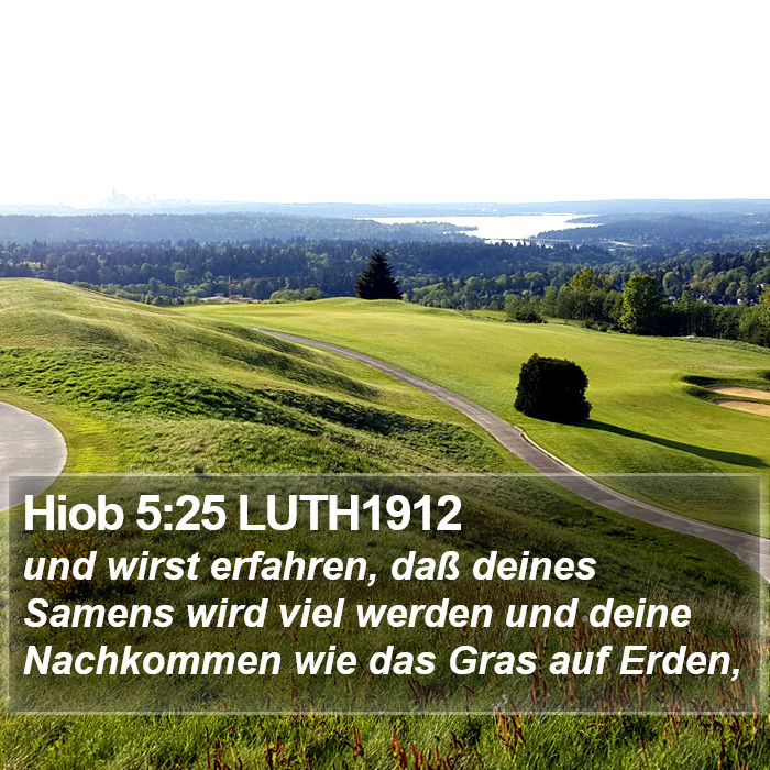 Hiob 5:25 LUTH1912 Bible Study