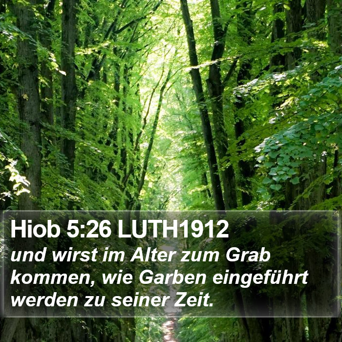 Hiob 5:26 LUTH1912 Bible Study