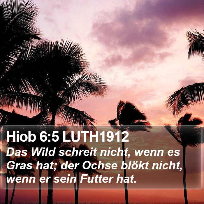 Hiob 6:5 LUTH1912 Bible Study
