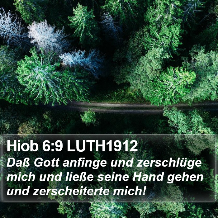 Hiob 6:9 LUTH1912 Bible Study