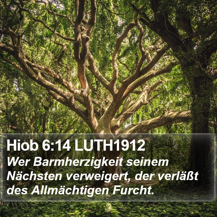 Hiob 6:14 LUTH1912 Bible Study