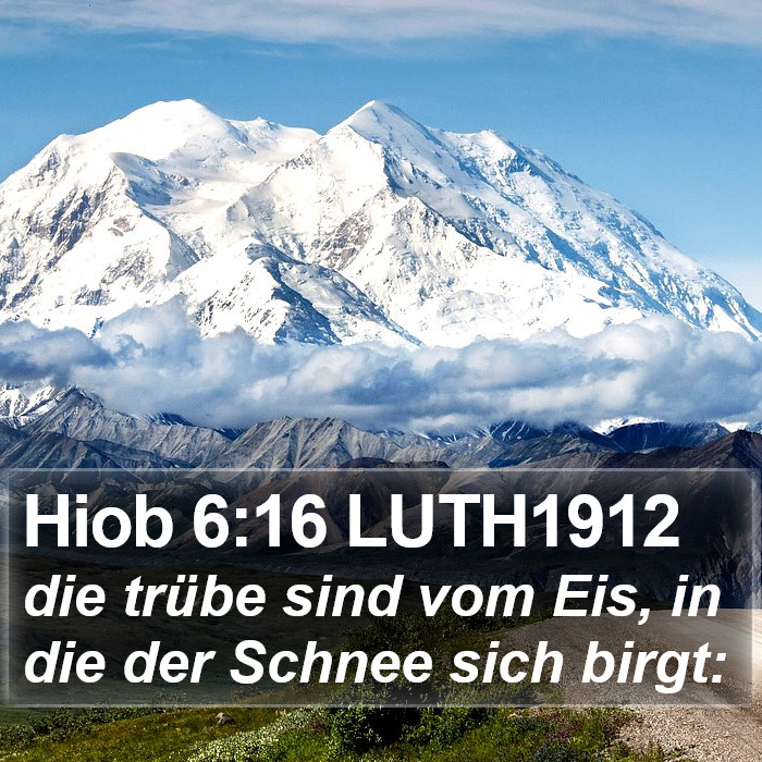 Hiob 6:16 LUTH1912 Bible Study