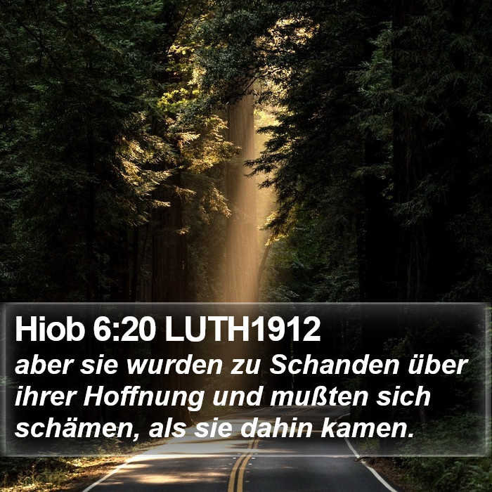 Hiob 6:20 LUTH1912 Bible Study
