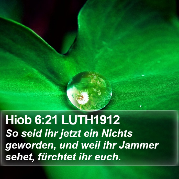 Hiob 6:21 LUTH1912 Bible Study