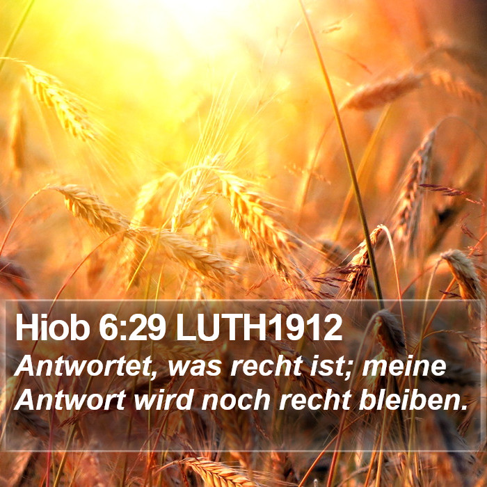 Hiob 6:29 LUTH1912 Bible Study