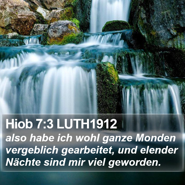 Hiob 7:3 LUTH1912 Bible Study