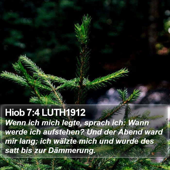 Hiob 7:4 LUTH1912 Bible Study