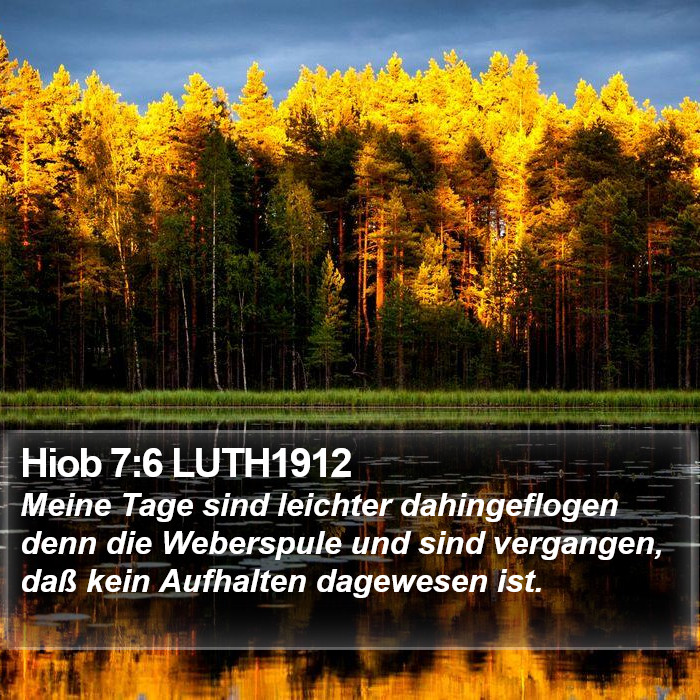 Hiob 7:6 LUTH1912 Bible Study