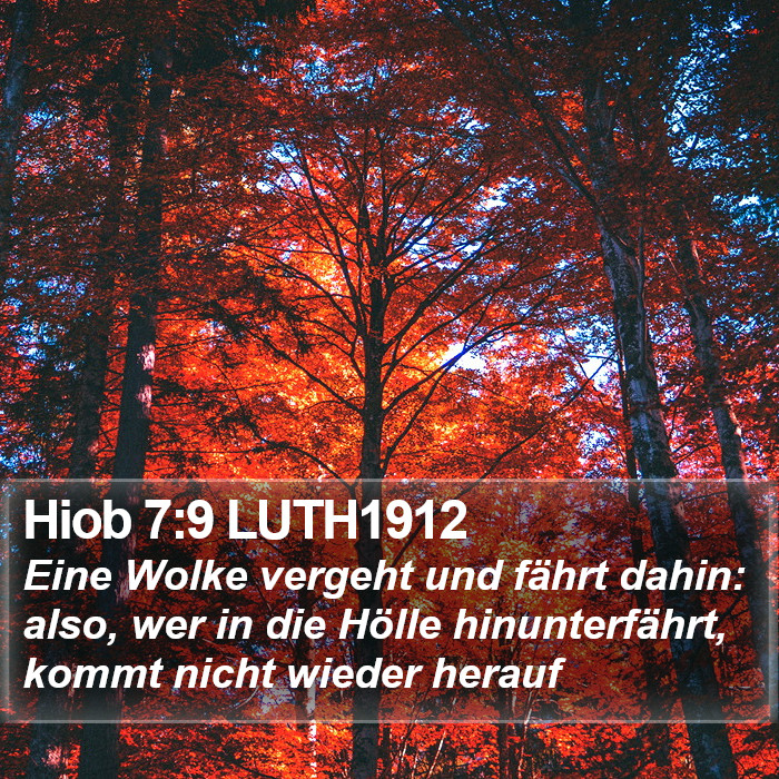 Hiob 7:9 LUTH1912 Bible Study