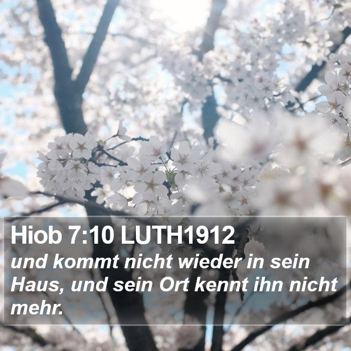 Hiob 7:10 LUTH1912 Bible Study