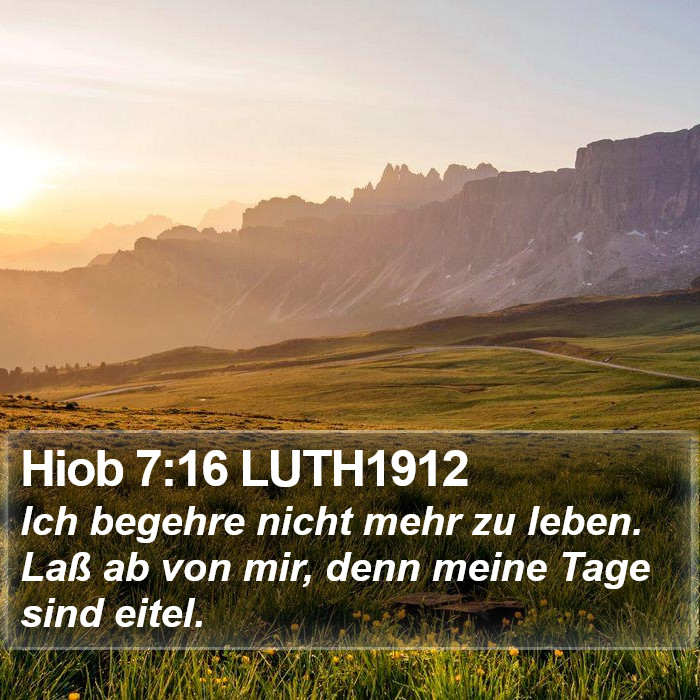 Hiob 7:16 LUTH1912 Bible Study